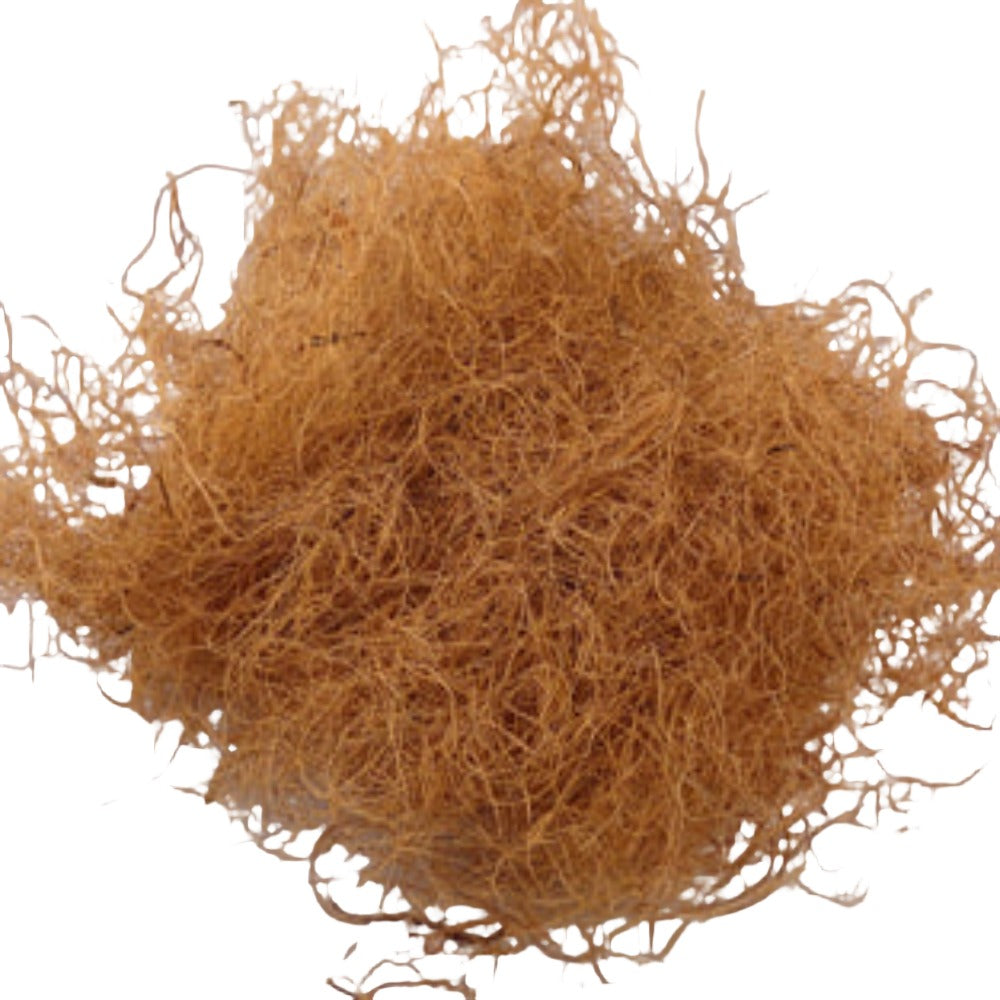 Ginger Coconut Coir per Kilo - Black Barn Upholstery Supplies